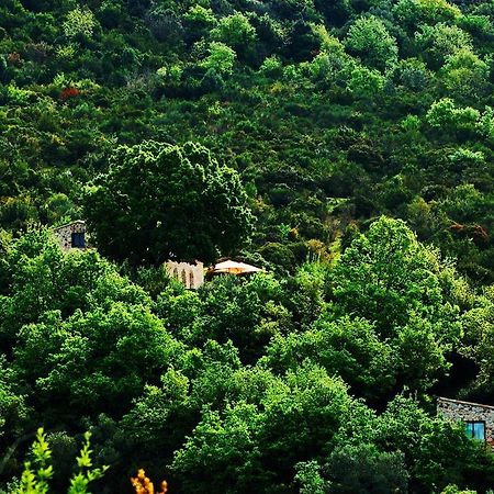 Il Cannito Capaccio Dış mekan fotoğraf