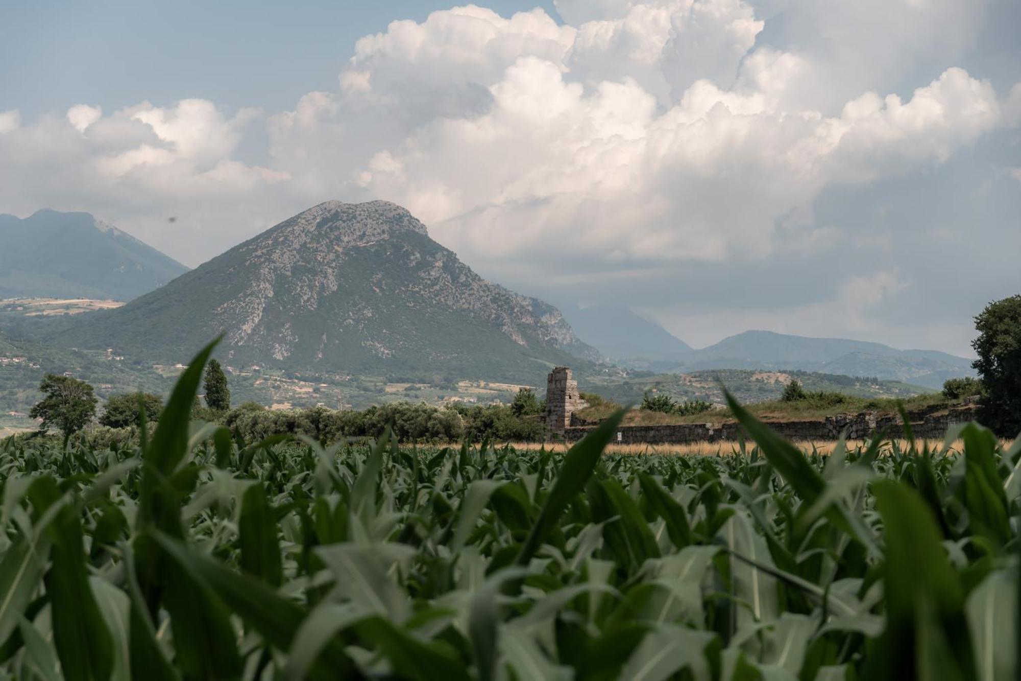 Il Cannito Capaccio Dış mekan fotoğraf