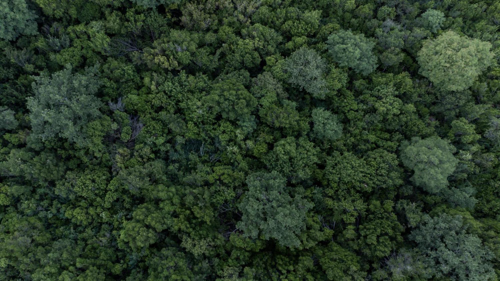Il Cannito Capaccio Dış mekan fotoğraf
