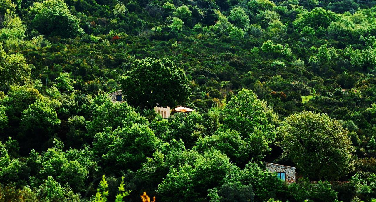 Il Cannito Capaccio Dış mekan fotoğraf
